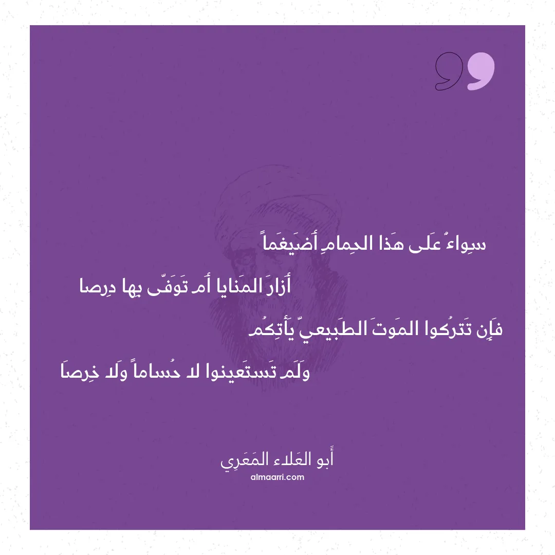 قصيدة سواء على هذا الحمام أضيغما