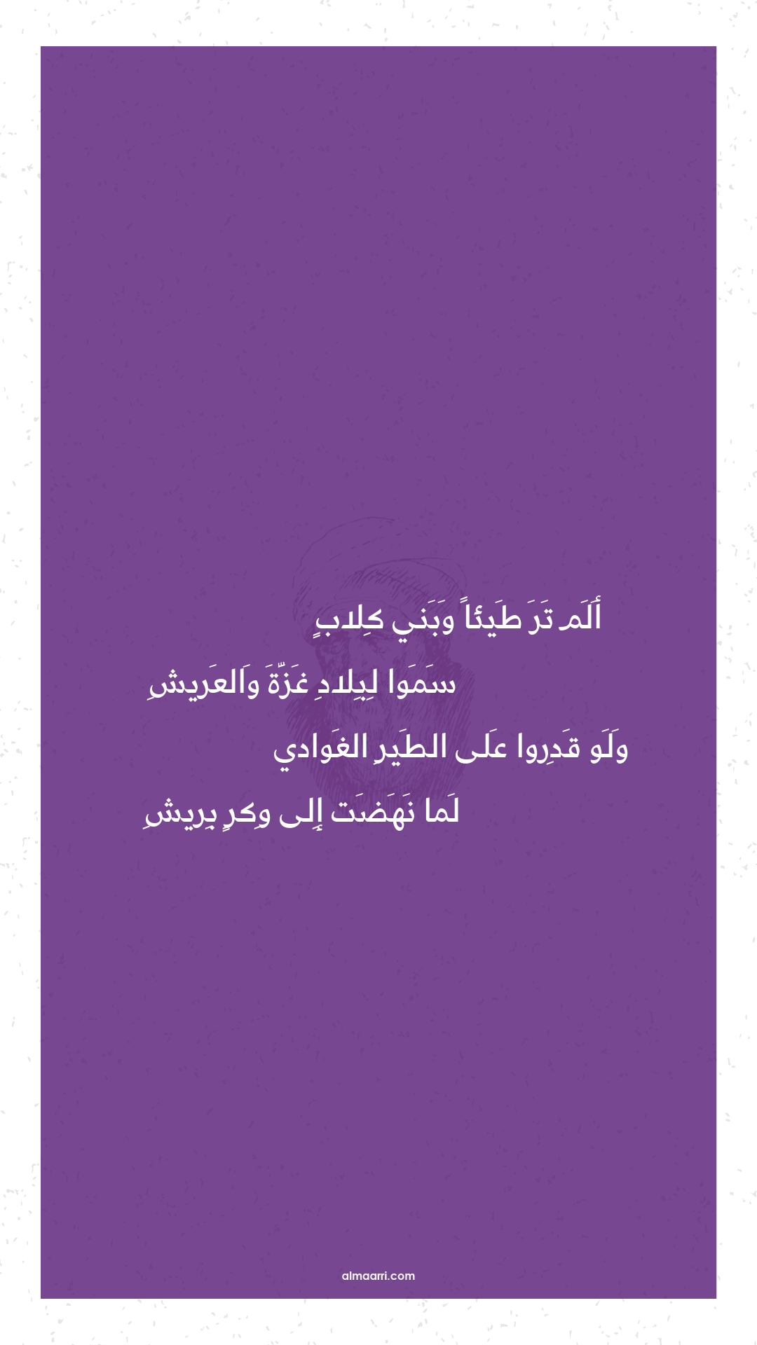 ألم تر طيئا وبني كلاب