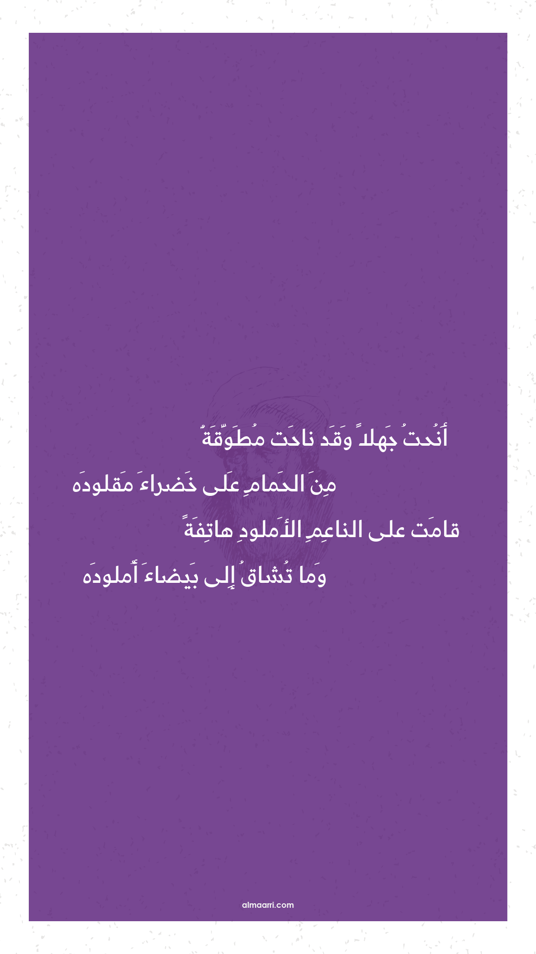 أنحت جهلا وقد ناحت مطوقة